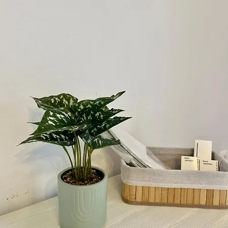 Aleria 2 Appartement